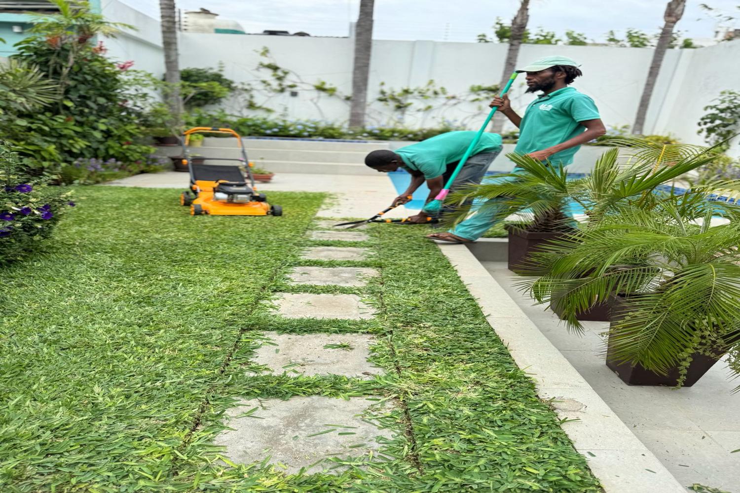 redimensionada_1500x1000_trabalho