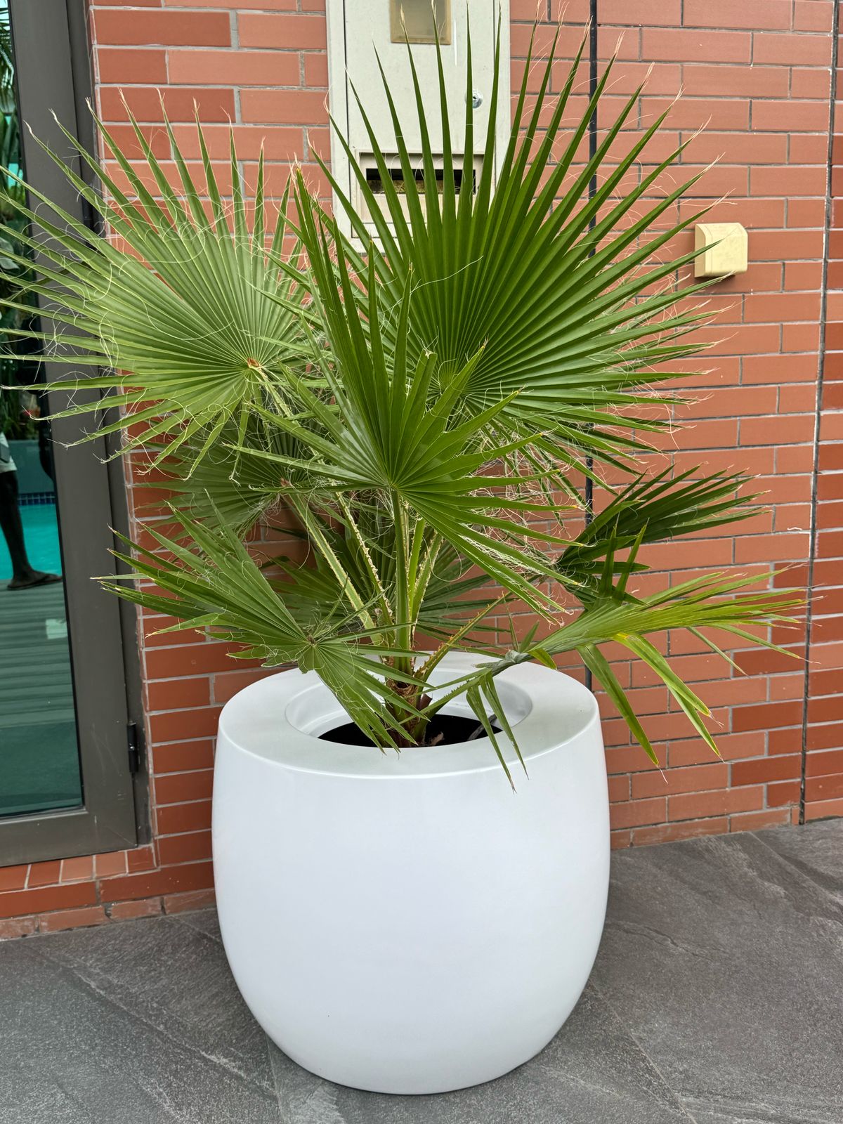 WhatsApp Image 2025-03-28 at 16.01.54