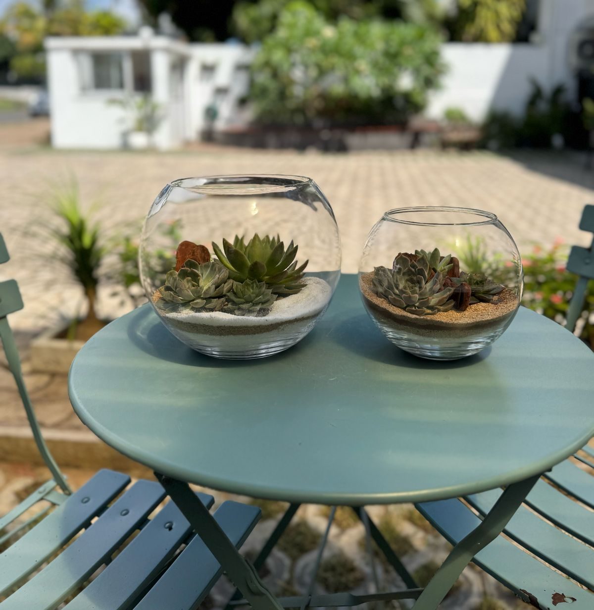 WhatsApp Image 2025-03-28 at 16.01.55 (1)