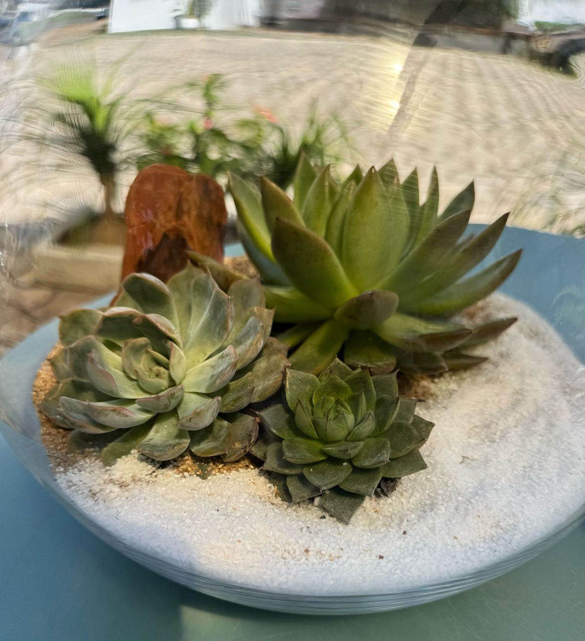 WhatsApp Image 2025-03-28 at 16.01.55