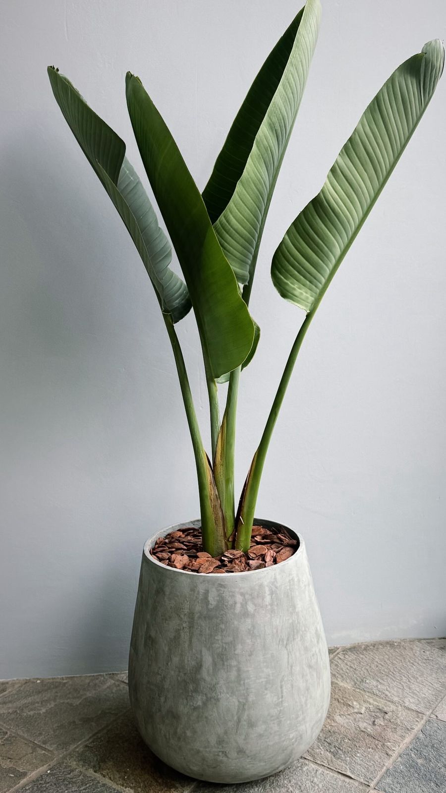 WhatsApp Image 2025-03-28 at 16.02.47