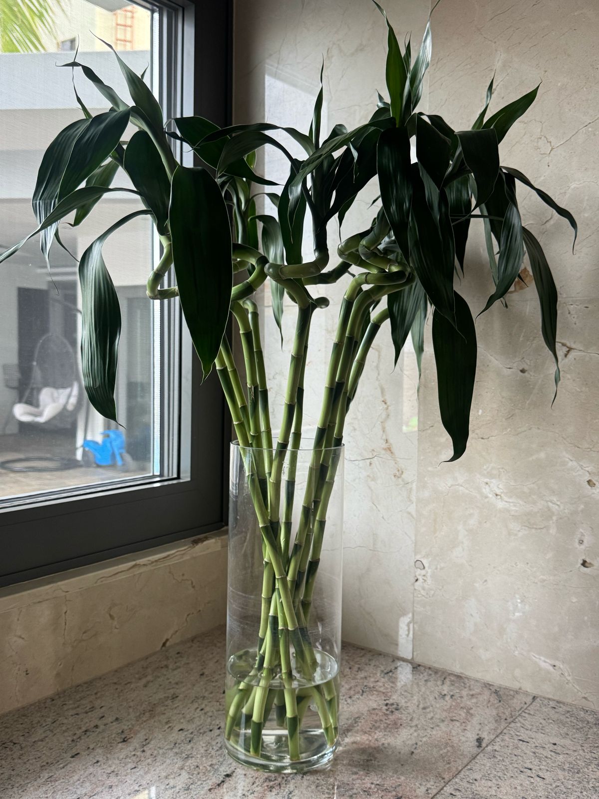 WhatsApp Image 2025-03-28 at 16.02.48