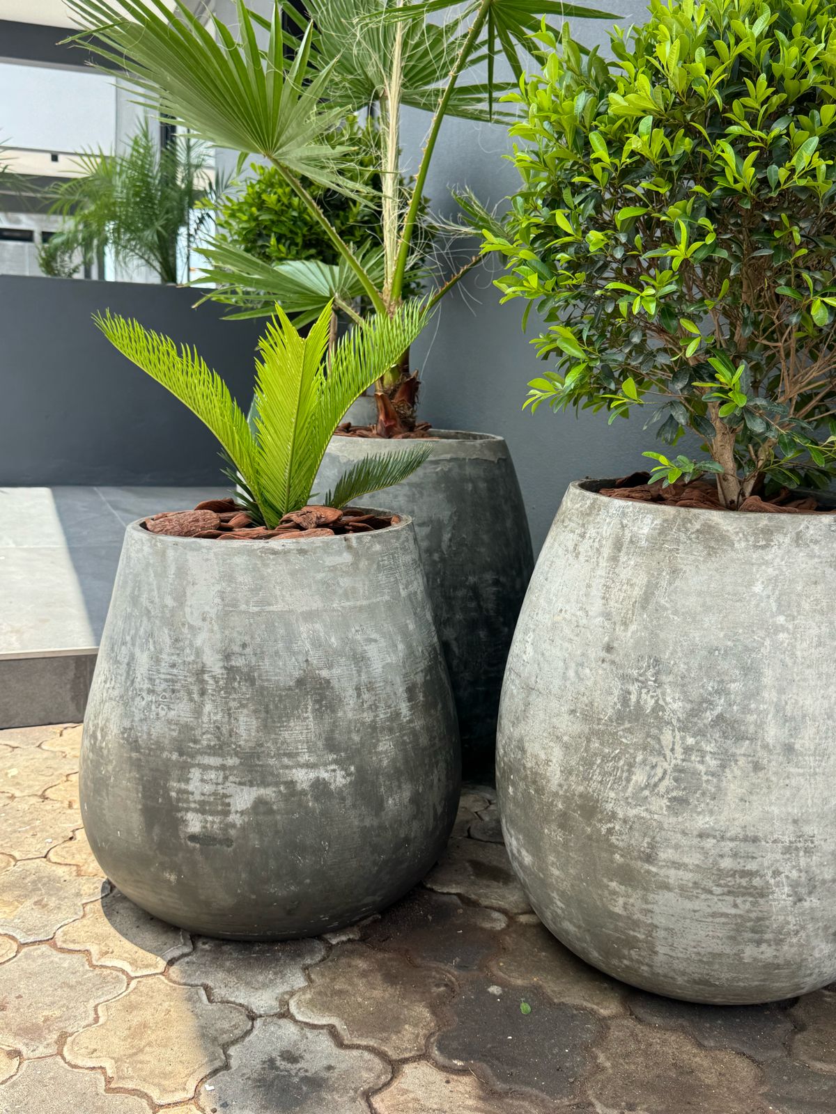 WhatsApp Image 2025-03-28 at 16.05.05