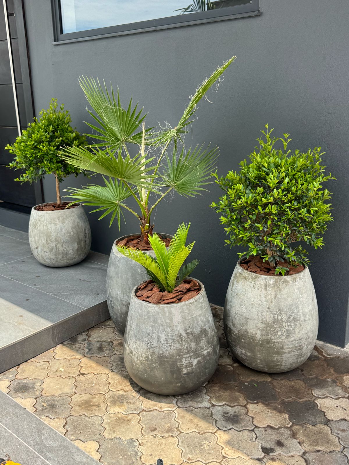 WhatsApp Image 2025-03-28 at 16.05.06