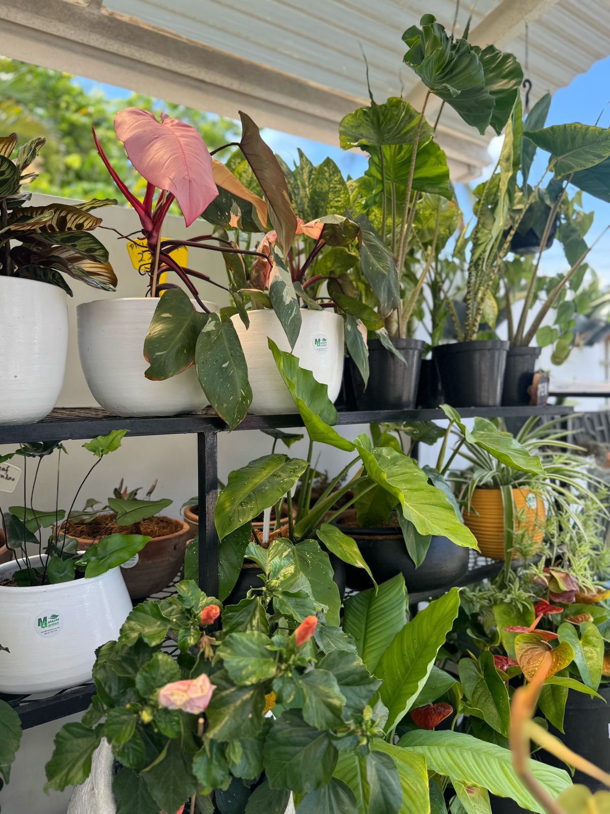 WhatsApp Image 2025-03-28 at 16.05.08