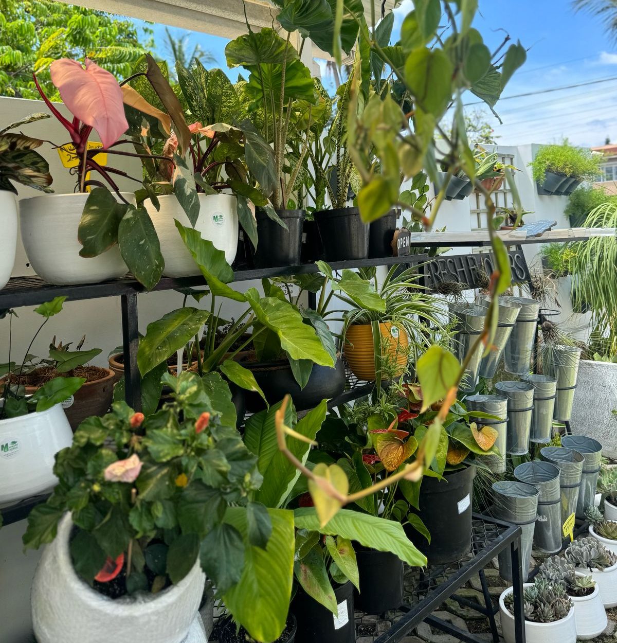 WhatsApp Image 2025-03-28 at 16.05.09