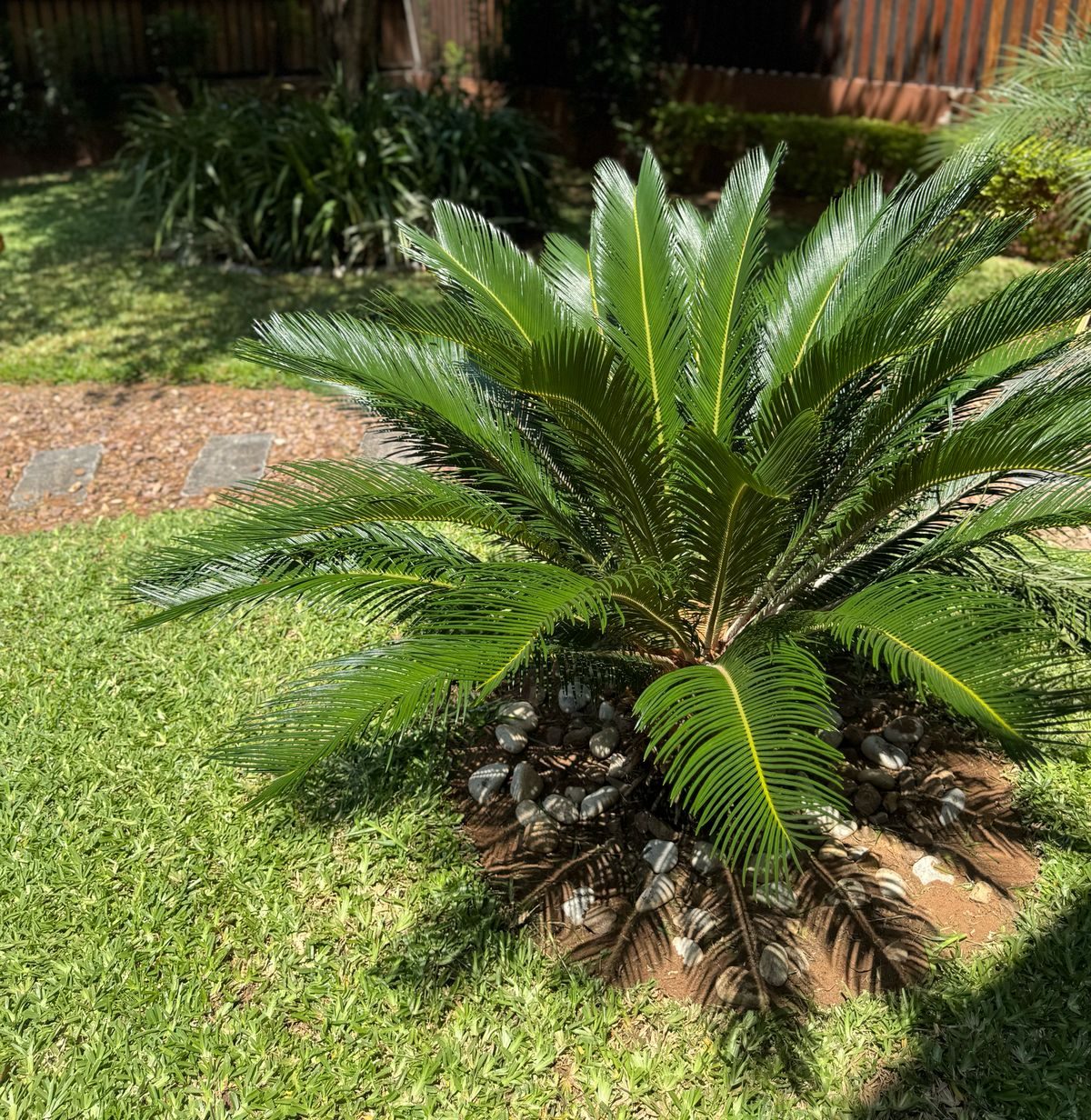 WhatsApp Image 2025-03-28 at 16.05.11 (1)