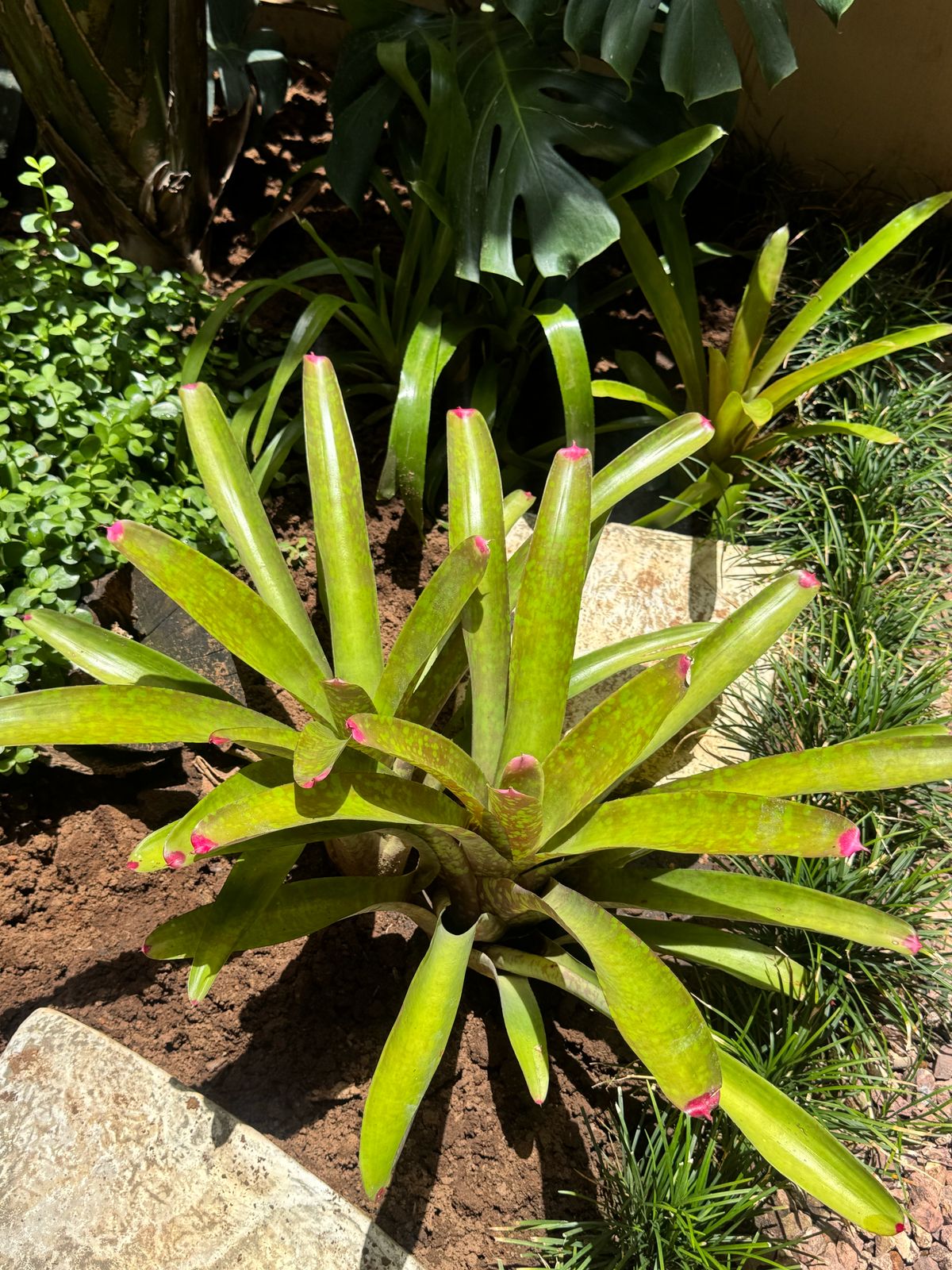 WhatsApp Image 2025-03-28 at 16.05.44