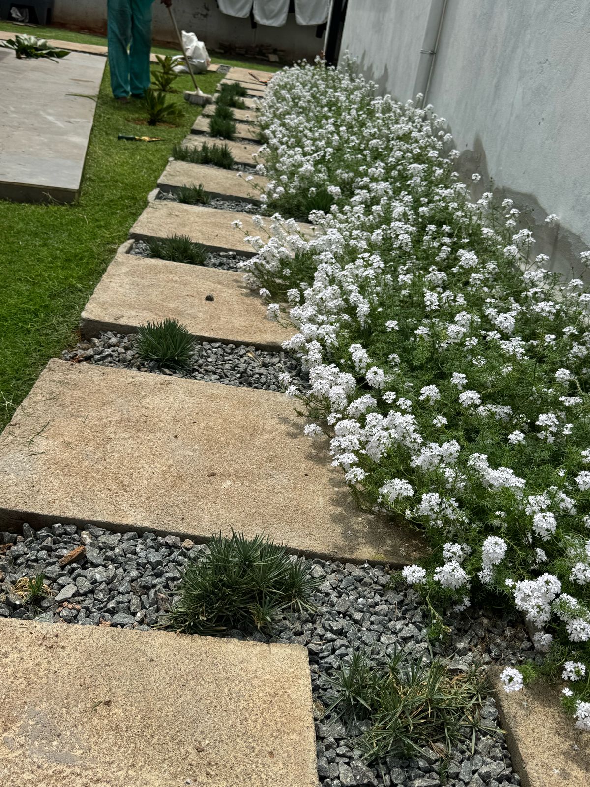 WhatsApp Image 2025-03-28 at 16.05.45