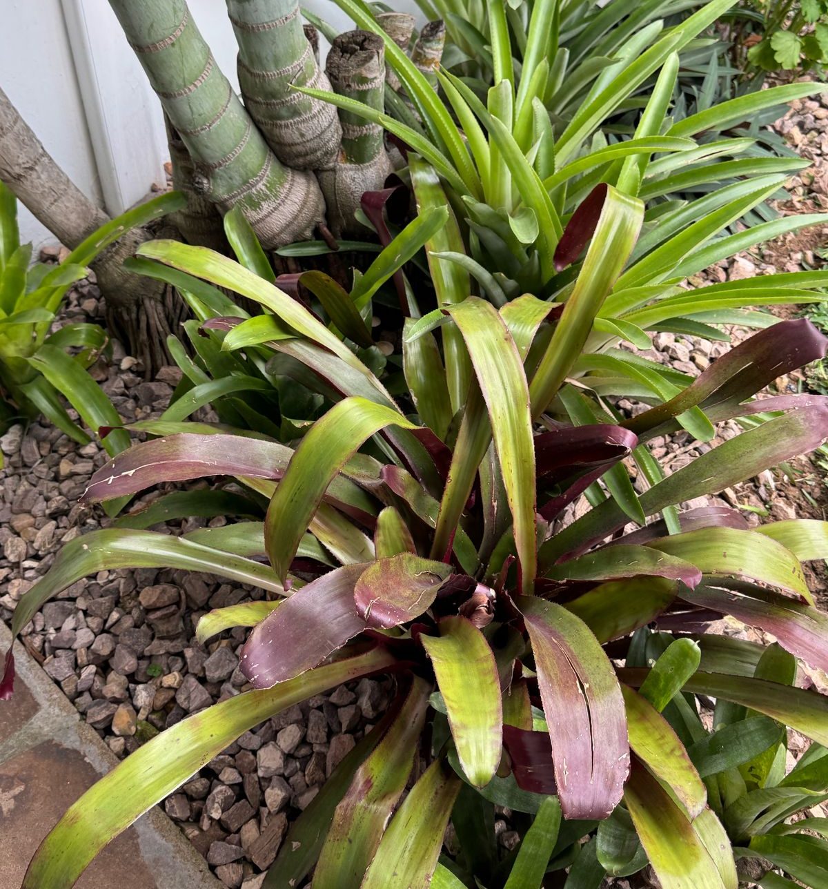 WhatsApp Image 2025-03-28 at 16.05.47