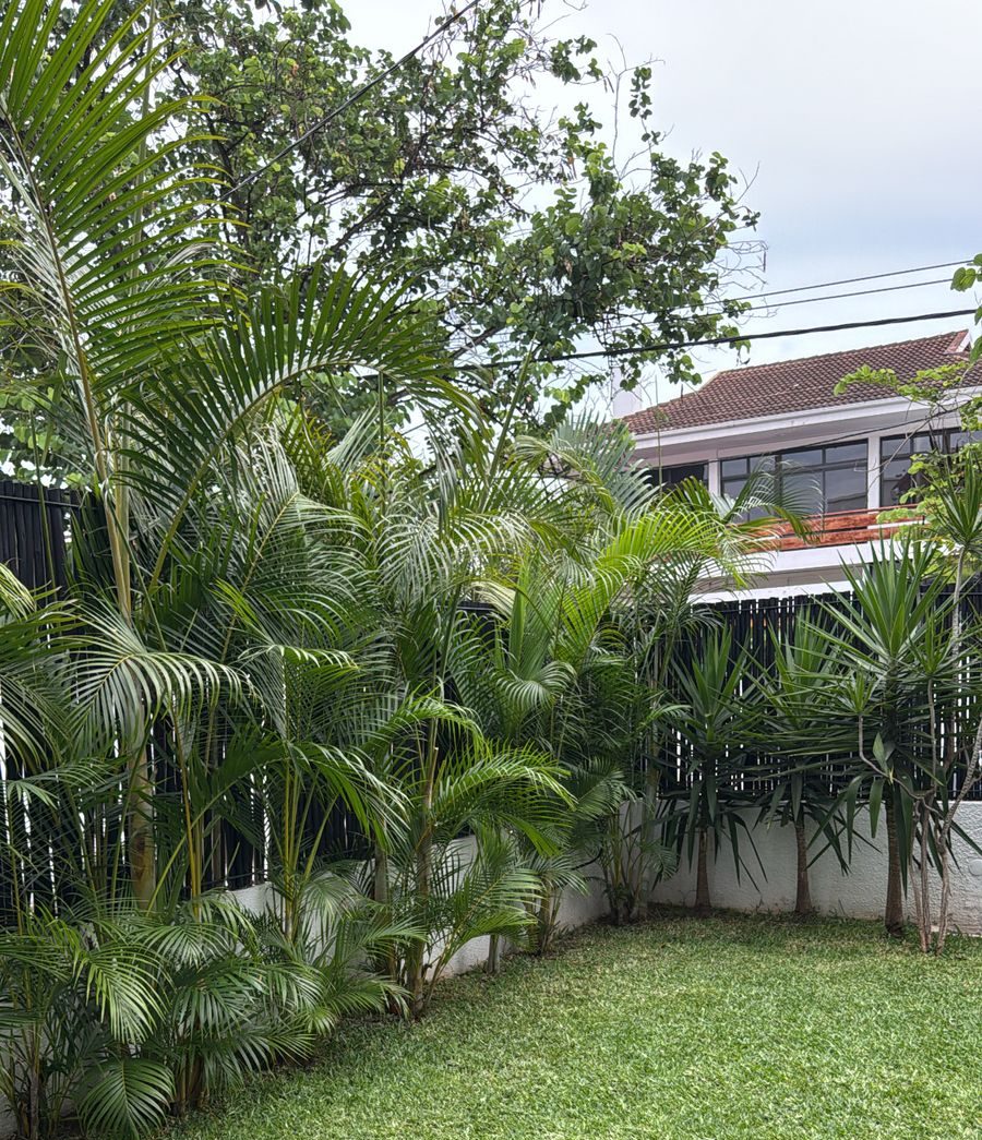 WhatsApp Image 2025-03-28 at 16.05.54 (1)