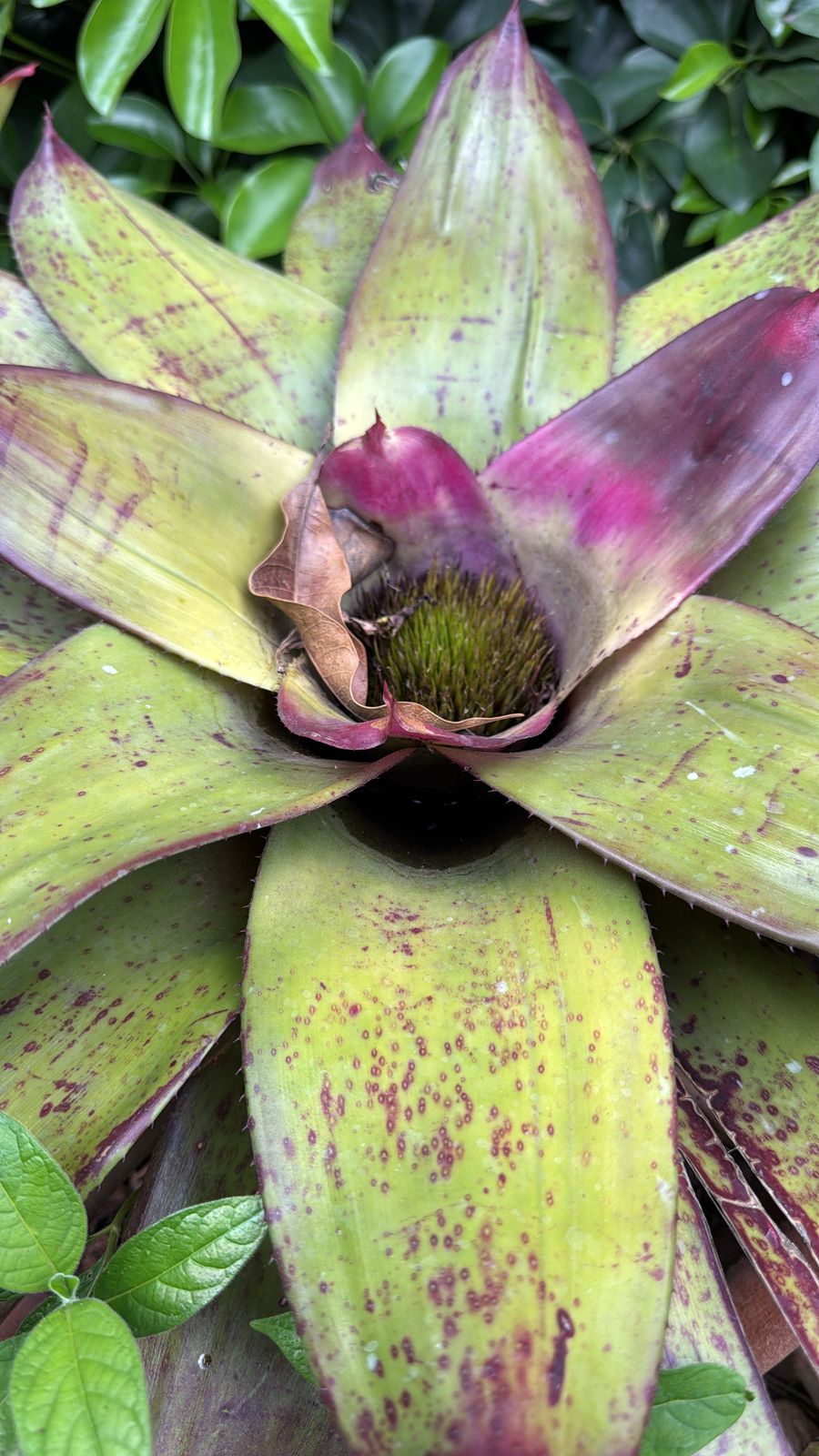 WhatsApp Image 2025-03-28 at 16.05.54