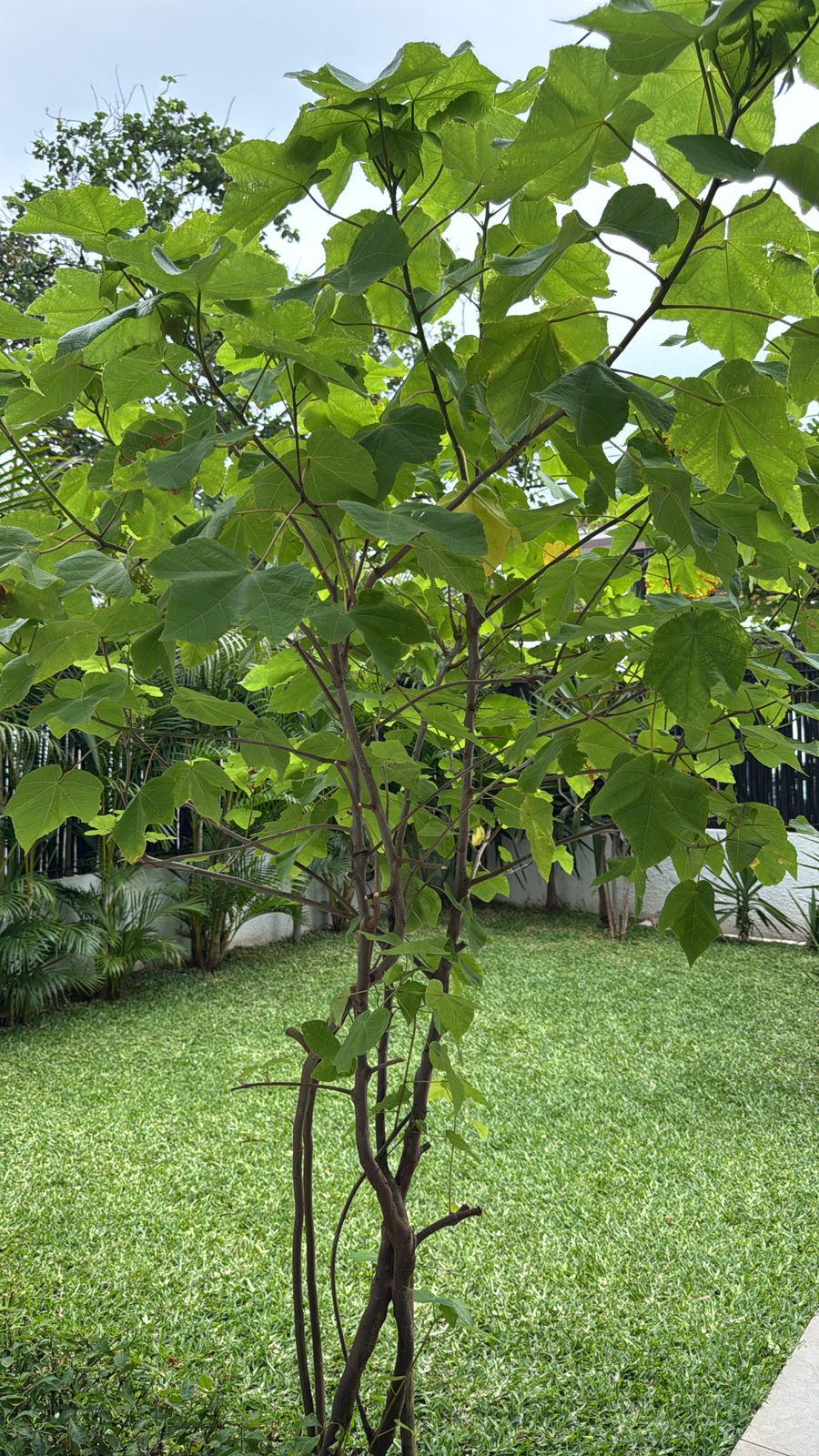 WhatsApp Image 2025-03-28 at 16.06.59 (1)