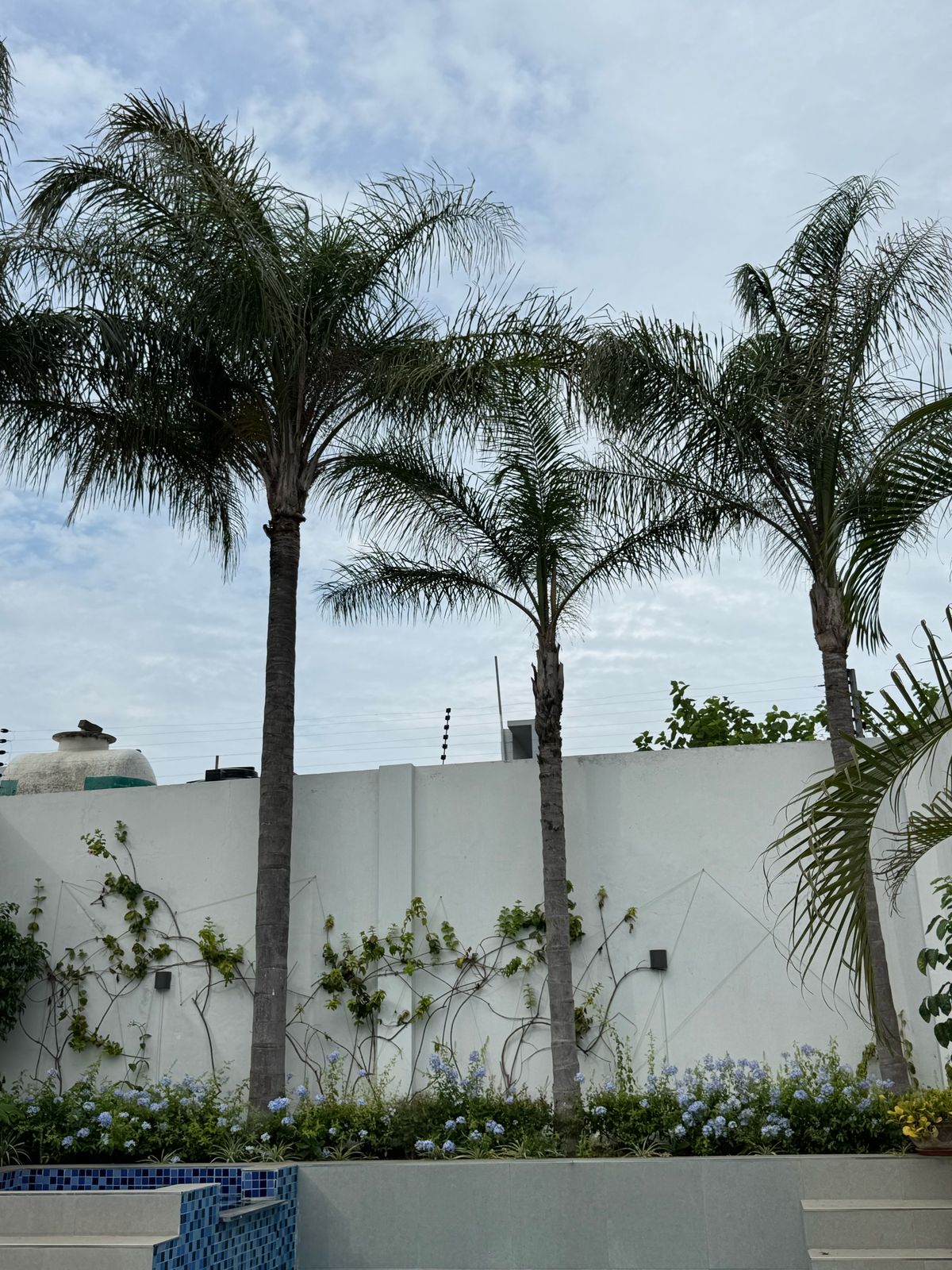 WhatsApp Image 2025-03-28 at 16.07.00