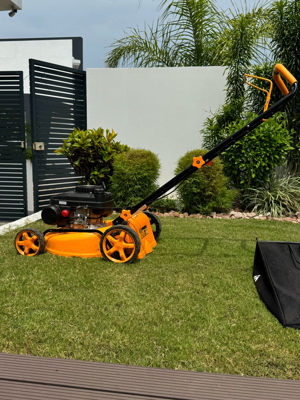 WhatsApp Image 2025-03-28 at 16.07.03 (2)