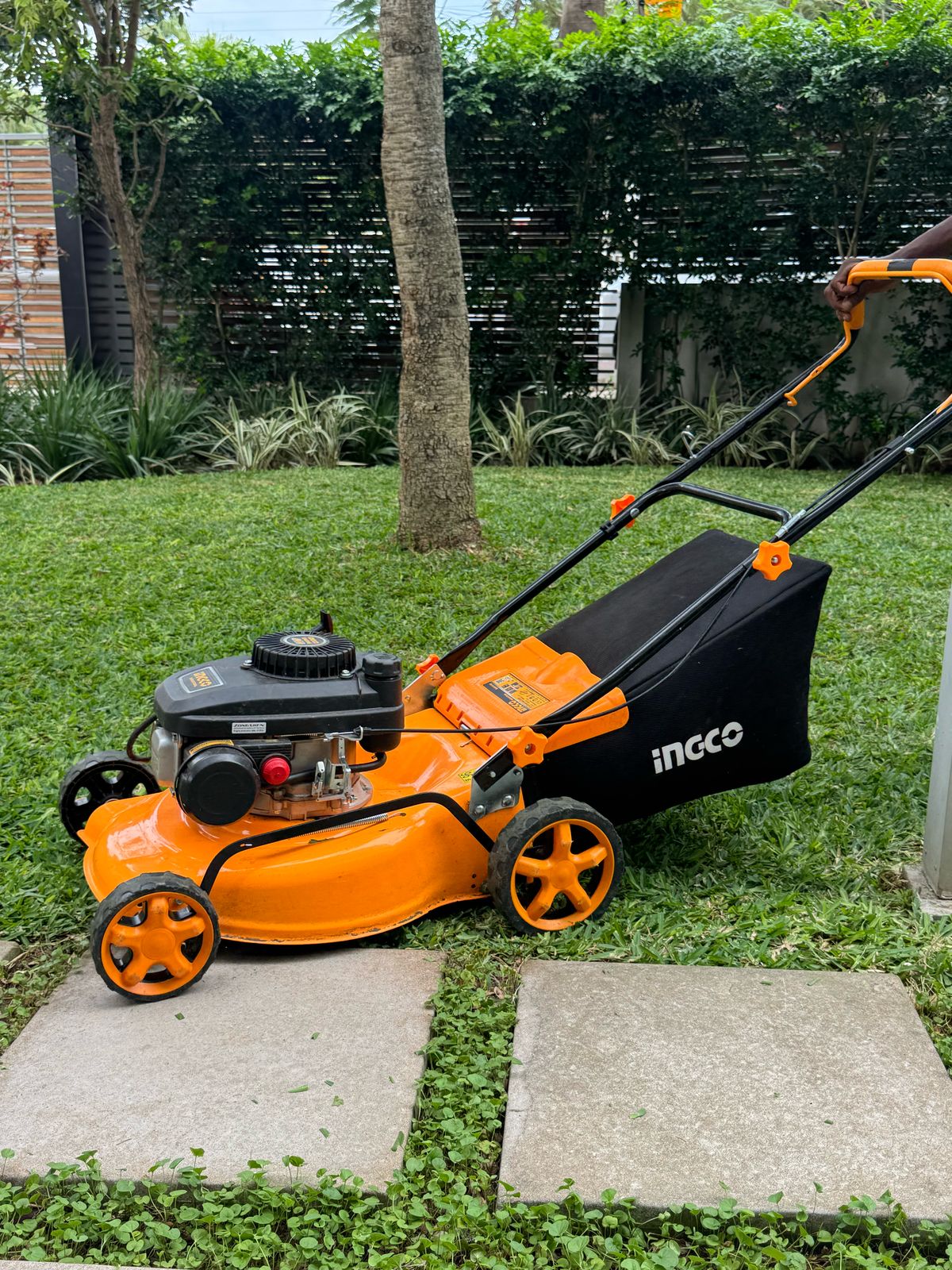 WhatsApp Image 2025-03-28 at 16.07.03