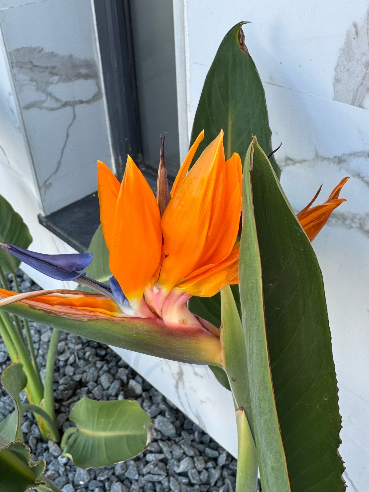 WhatsApp Image 2025-03-28 at 16.07.04