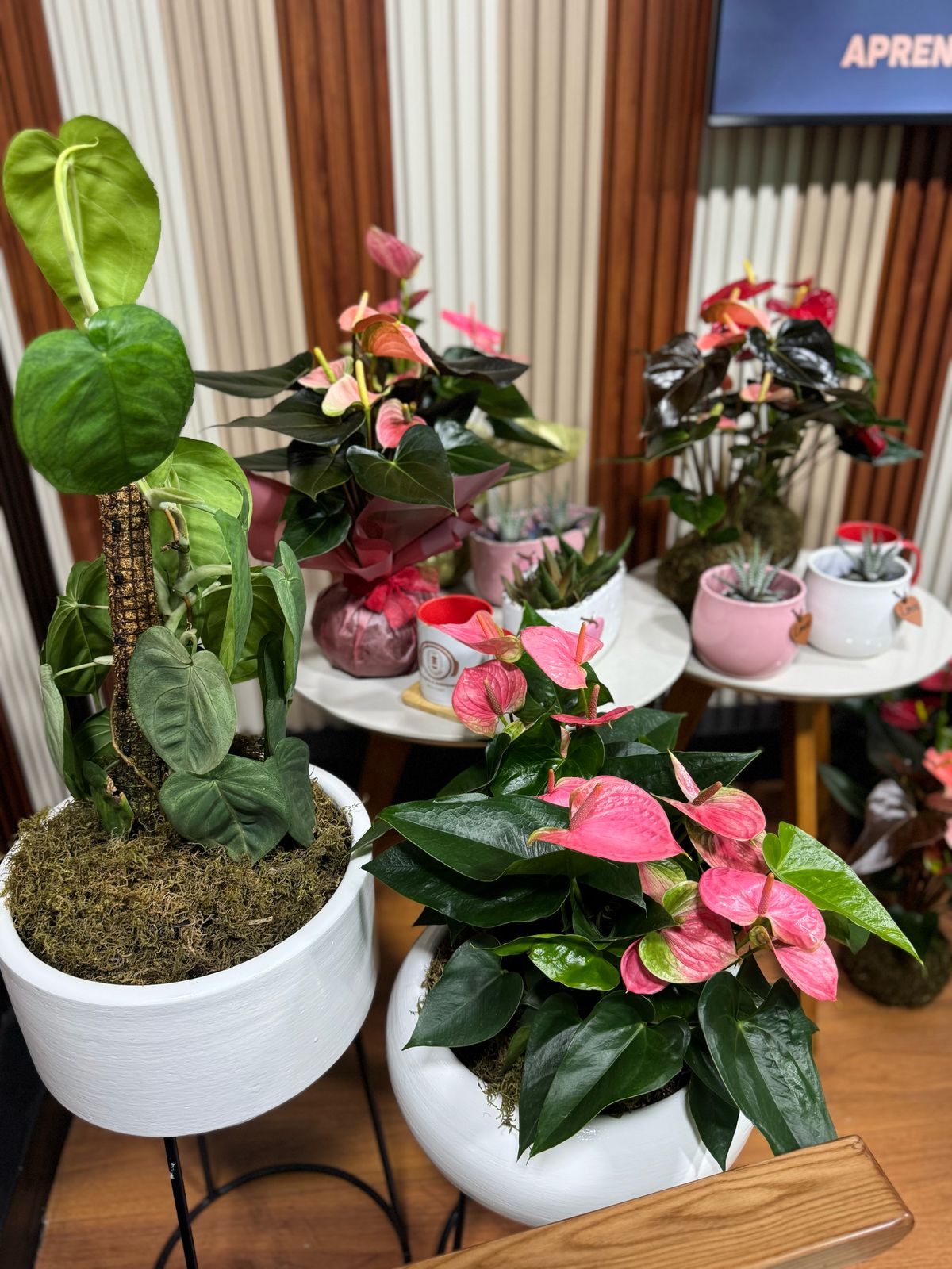 WhatsApp Image 2025-03-28 at 16.17.48