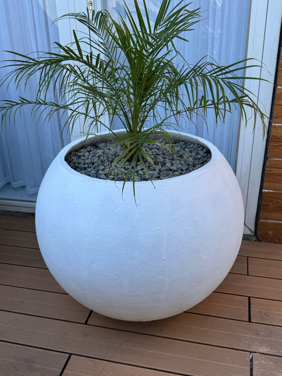 WhatsApp Image 2025-03-28 at 16.17.51